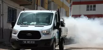 Odunpazarı: Odunpazarı Belediyesi Haber: Odunpazarı'nda ilaçlama çalışmaları devam ediyor Odunpazarı: Odunpazarı Belediyesi Haber: Odunpazarı'nda ilaçlama çalışmaları devam ediyor