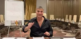 Sedat Peker'in geçmiş iddiaları için harekete geçilebilir mi? Hukukçu Ersan Şen zaman aşımına işaret etti