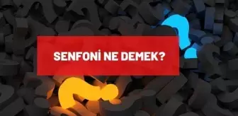 Senfoni ne demek? TDK'ya göre senfoni anlamı ne?