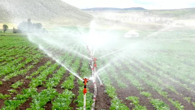 Sivas'ta sulu tarım ile ülke ekonomisine milyarlık katkı sağlanacak