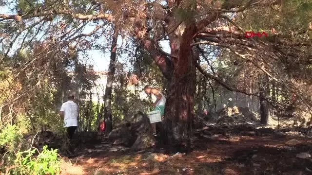 ALANYA KALESİ YAMACINDAKİ ORMANLIK ALANDA ÇIKAN YANGIN KORKUTTU ALANYA KALESİ YAMACINDAKİ ORMANLIK ALANDA ÇIKAN YANGIN KORKUTTU