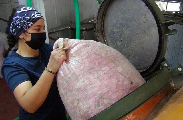 Gül yağının litresi 7 bin liraya kadar alıcı buluyor