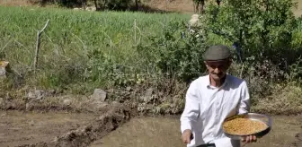 Çukurca: Hakkari'de terör nedeniyle boşaltılan köyün arazileri 26 yıl sonra tarıma açıldı Çukurca: Hakkari'de terör nedeniyle boşaltılan köyün arazileri 26 yıl sonra tarıma açıldı