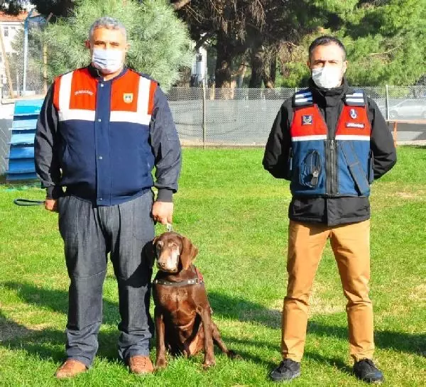 Jandarmanın 'Volta'sı emekli oldu