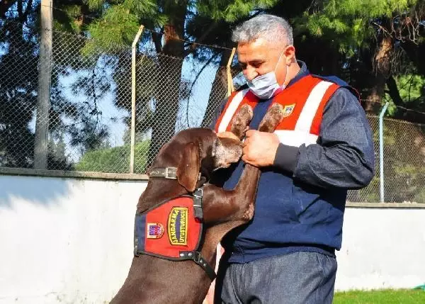 Jandarmanın 'Volta'sı emekli oldu