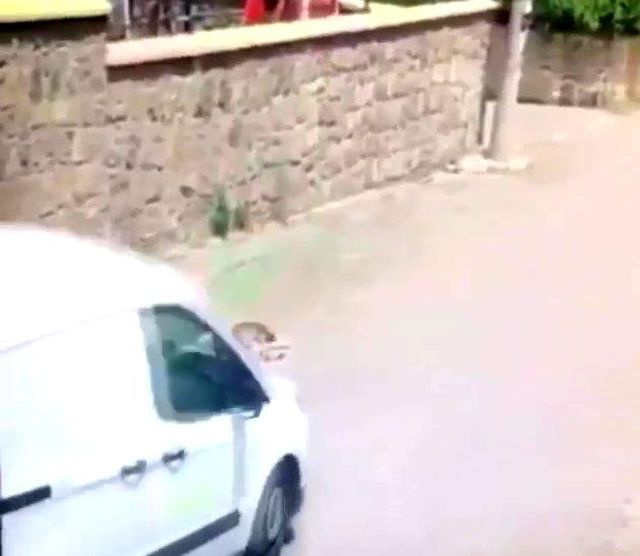 kopegi ezip olumune sebep olan sahsa ceza kes 3 14159717 o