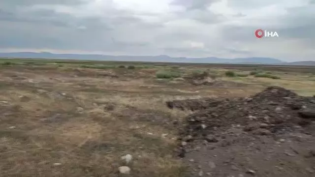Kuş cennetindeki eski yerleşim yerleri gün yüzüne çıkarılmayı bekliyor