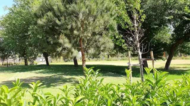 Millet Bahçesi Nazilli Belediyesine devredildi