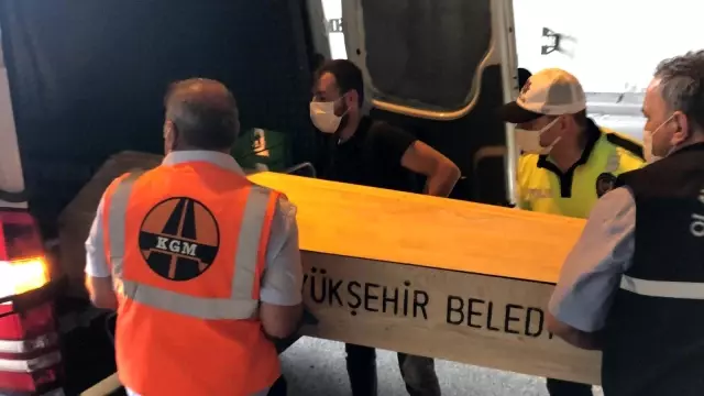Son dakika haberi | Son fotoğrafını ve görüntüsünü öldüğü yolda paylaştı Son dakika haberi | Son fotoğrafını ve görüntüsünü öldüğü yolda paylaştı