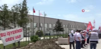 Türk işçileri kapının önüne koyan Fransız peynir fabrikasının önündeki grev sürüyor