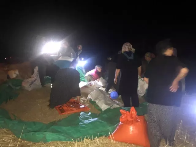 Son dakika haberleri: Adana'da orman yangını Son dakika haberleri: Adana'da orman yangını