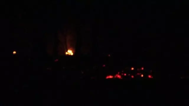 Son dakika haberleri: Adana'da orman yangını Son dakika haberleri: Adana'da orman yangını