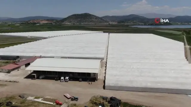Anahtar teslim seralarla örtü altı üretime destek oluyor Anahtar teslim seralarla örtü altı üretime destek oluyor