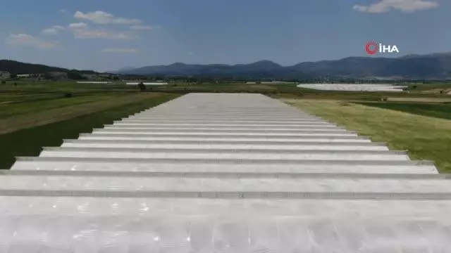 Anahtar teslim seralarla örtü altı üretime destek oluyor Anahtar teslim seralarla örtü altı üretime destek oluyor