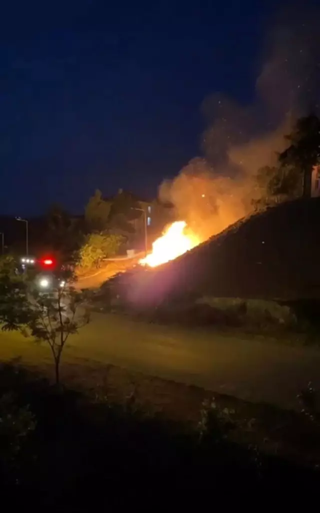 Sakarya'da korkutan anız yangını: Yerleşim yerlerine ulaşmadan söndürüldü