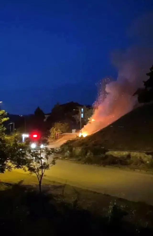 Sakarya'da korkutan anız yangını: Yerleşim yerlerine ulaşmadan söndürüldü