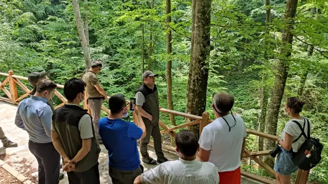 Bursa'da Orman Genel Müdürlüğünce oluşturulan Oylat Şelalesi Ekoturizm Parkuru açıldı