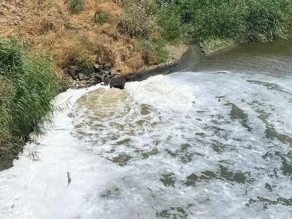 BÜYÜK MENDERES NEHRİ'NDE TEDİRGİN EDEN KİRLİLİK BÜYÜK MENDERES NEHRİ'NDE TEDİRGİN EDEN KİRLİLİK