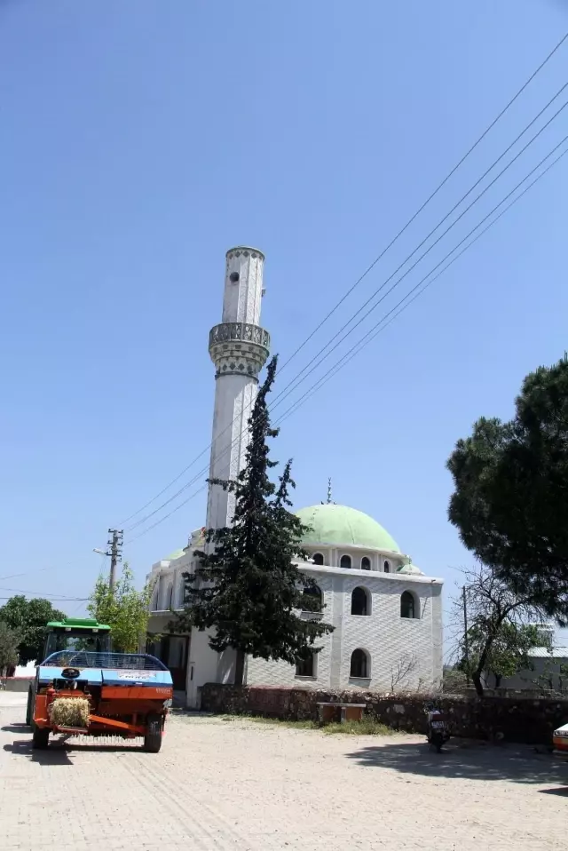 Çanakkale'de fırtınanın vurduğu bölgelerde hasar tespit çalışması yapıldı