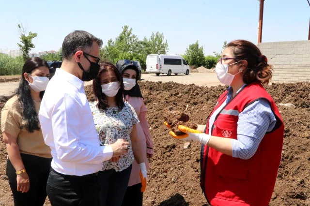 Diyarbakır'da Topraktan Toprağa Organik Atıkların Geri Dönüştürülmesi Projesi hayata geçirildi