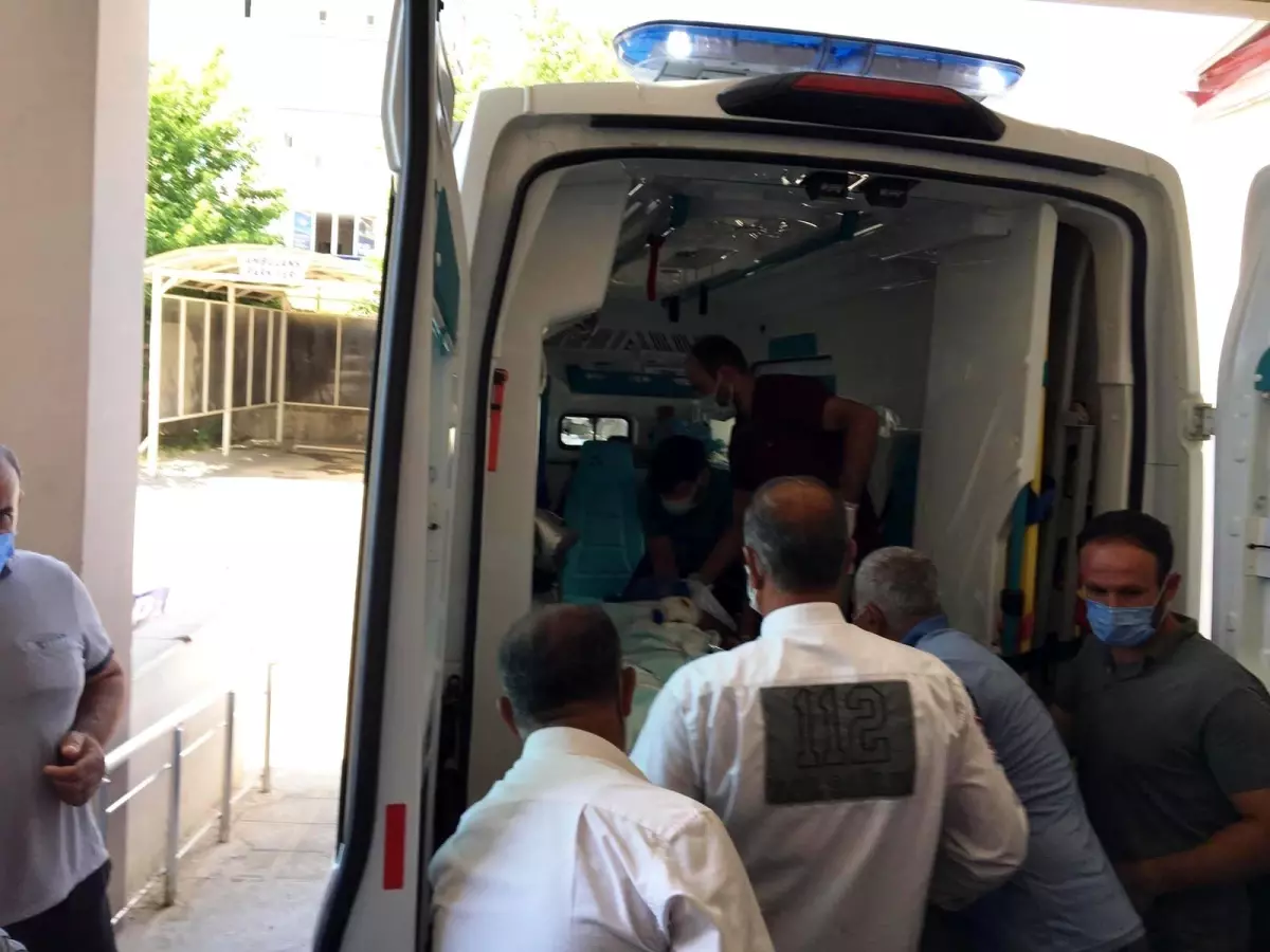 Engerek yılanın ısırdığı şahıs yoğun bakımda - Haberler 1 engerek yilanin isirdigi sahis yogun bakimda 14163631 amp