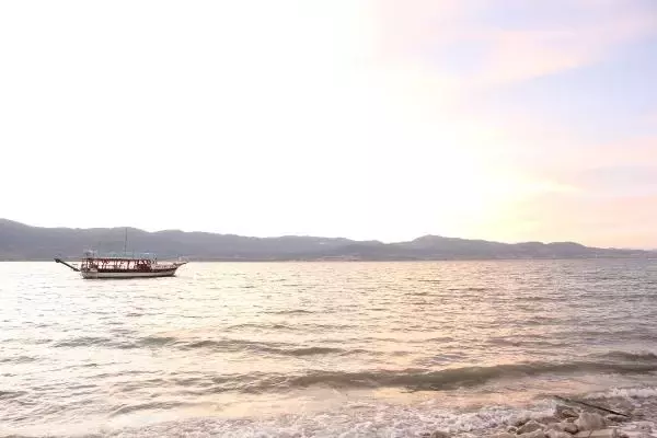 'JOB MEHMET' KURAKLIĞA TESLİM OLDU