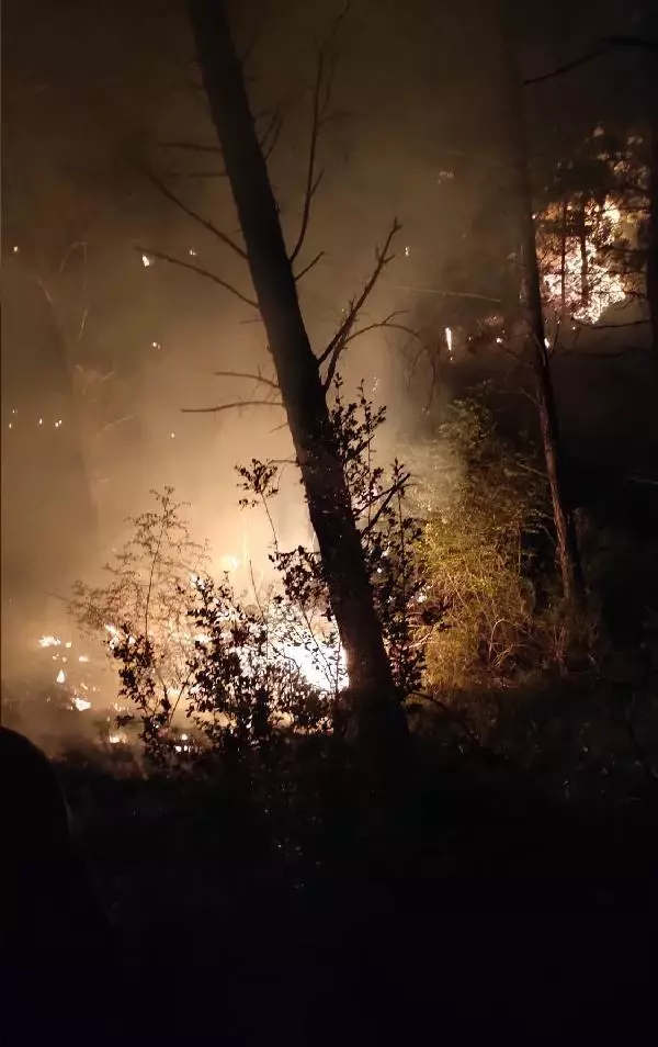 Adana'da orman yangını! Ekipler alevlere müdahale ediyor Adana'da orman yangını! Ekipler alevlere müdahale ediyor