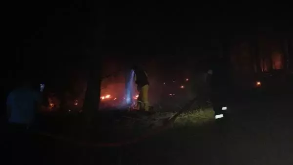 Adana'da orman yangını! Ekipler alevlere müdahale ediyor Adana'da orman yangını! Ekipler alevlere müdahale ediyor