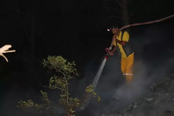 Adana'da orman yangını! Ekipler alevlere müdahale ediyor Adana'da orman yangını! Ekipler alevlere müdahale ediyor