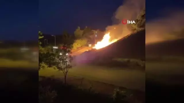 Sakarya'da korkutan anız yangını: Yerleşim yerlerine ulaşmadan söndürüldü