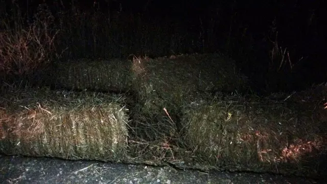 Saman balyalarının üzerinde yolculuk yapan çiftçi virajda yola düştü Saman balyalarının üzerinde yolculuk yapan çiftçi virajda yola düştü