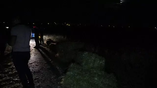 Saman balyalarının üzerinde yolculuk yapan çiftçi virajda yola düştü Saman balyalarının üzerinde yolculuk yapan çiftçi virajda yola düştü