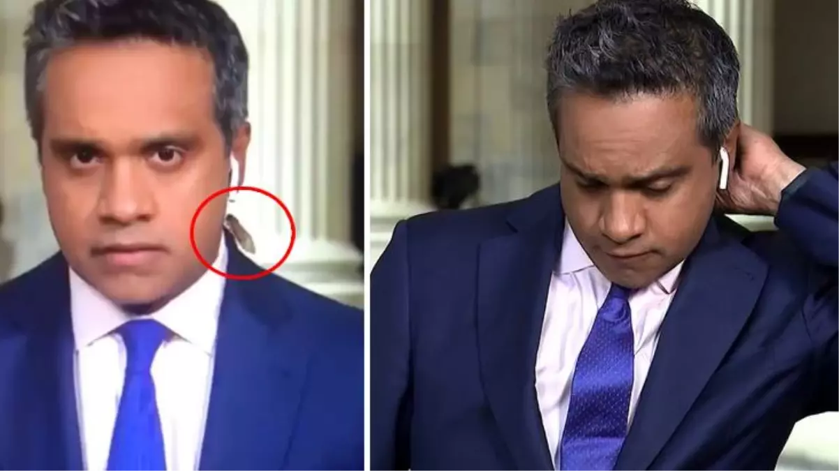 17 yılda bir yeryüzüne çıkan böcek, canlı yayında muhabire zor anlar yaşattı