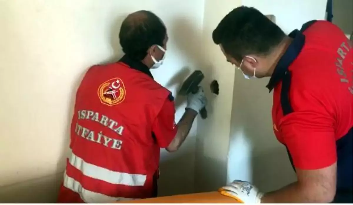 Bacaya sıkışan güvercini itfaiye kurtardı