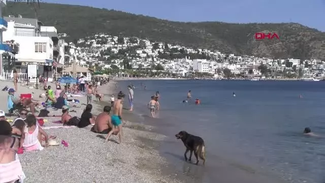 BODRUM HAFTA SONU YABANCI TURİSTLERE KALDI BODRUM HAFTA SONU YABANCI TURİSTLERE KALDI