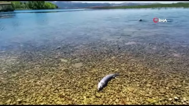 Büyük Menderes Nehri'nde kuraklık tehlikesi baş gösterdi Büyük Menderes Nehri'nde kuraklık tehlikesi baş gösterdi