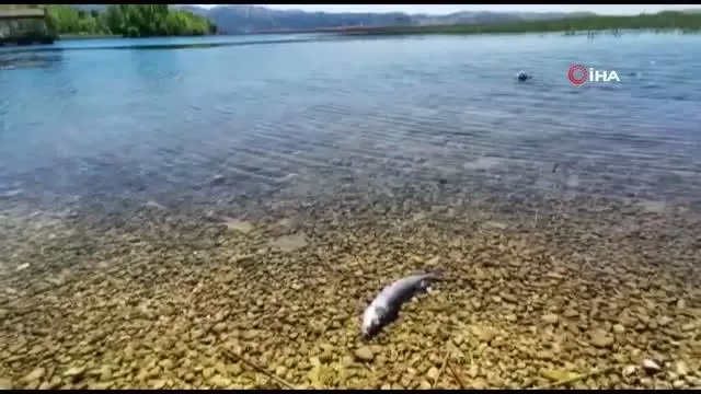 Büyük Menderes Nehri'nde kuraklık tehlikesi baş gösterdi Büyük Menderes Nehri'nde kuraklık tehlikesi baş gösterdi