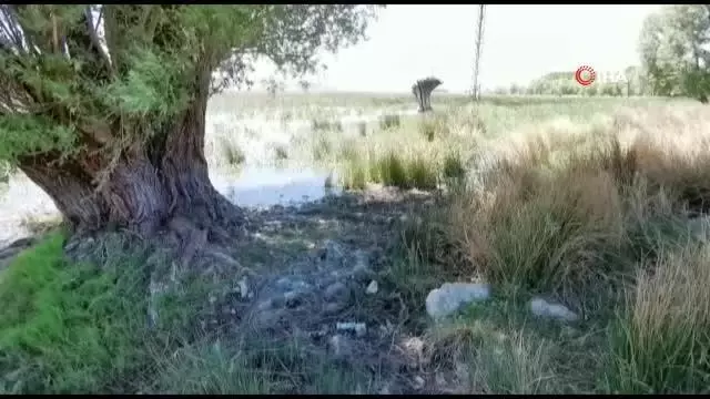 Büyük Menderes Nehri'nde kuraklık tehlikesi baş gösterdi Büyük Menderes Nehri'nde kuraklık tehlikesi baş gösterdi