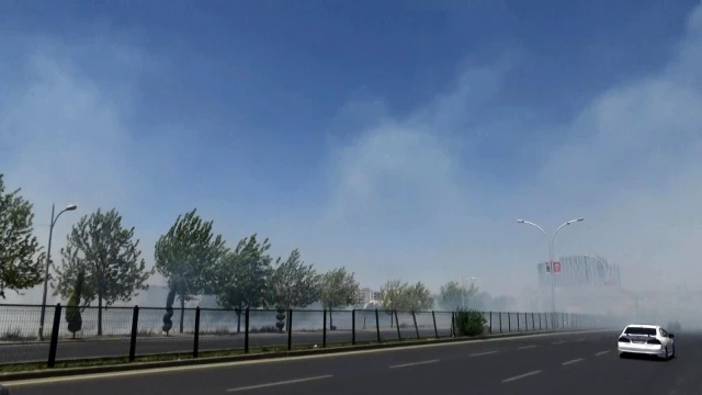 Diyarbakır'da korkutan anız yangını