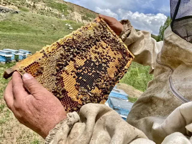 Emekli oldu, ömrünü arıcılığa adadı Emekli oldu, ömrünü arıcılığa adadı