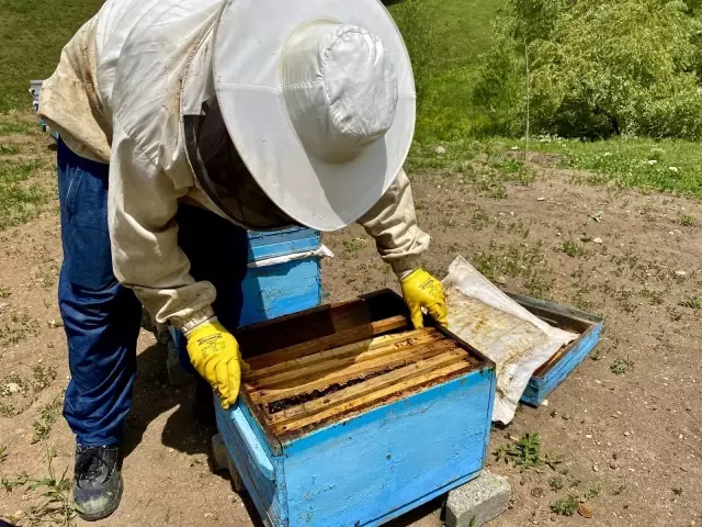 Emekli oldu, ömrünü arıcılığa adadı Emekli oldu, ömrünü arıcılığa adadı