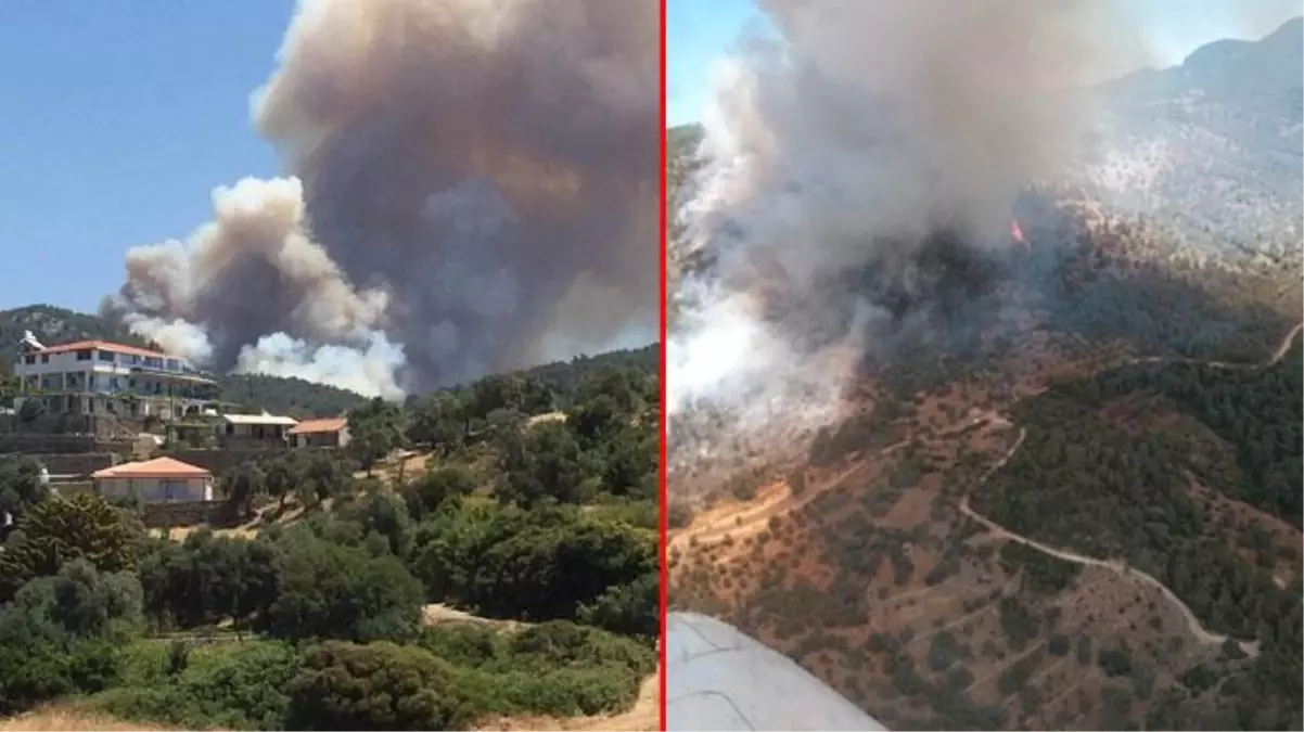 Muğla'da yangın! Çevre illerden takviye istendi