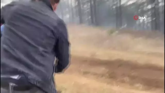 Pozantı'da ormanı yakan şahıs suçüstü yakalandı Pozantı'da ormanı yakan şahıs suçüstü yakalandı