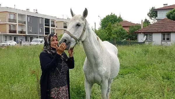YAŞLANSA DA AYRILMADI, YARIŞ ATI EVLADI GİBİ OLDU YAŞLANSA DA AYRILMADI, YARIŞ ATI EVLADI GİBİ OLDU