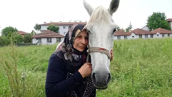 YAŞLANSA DA AYRILMADI, YARIŞ ATI EVLADI GİBİ OLDU YAŞLANSA DA AYRILMADI, YARIŞ ATI EVLADI GİBİ OLDU