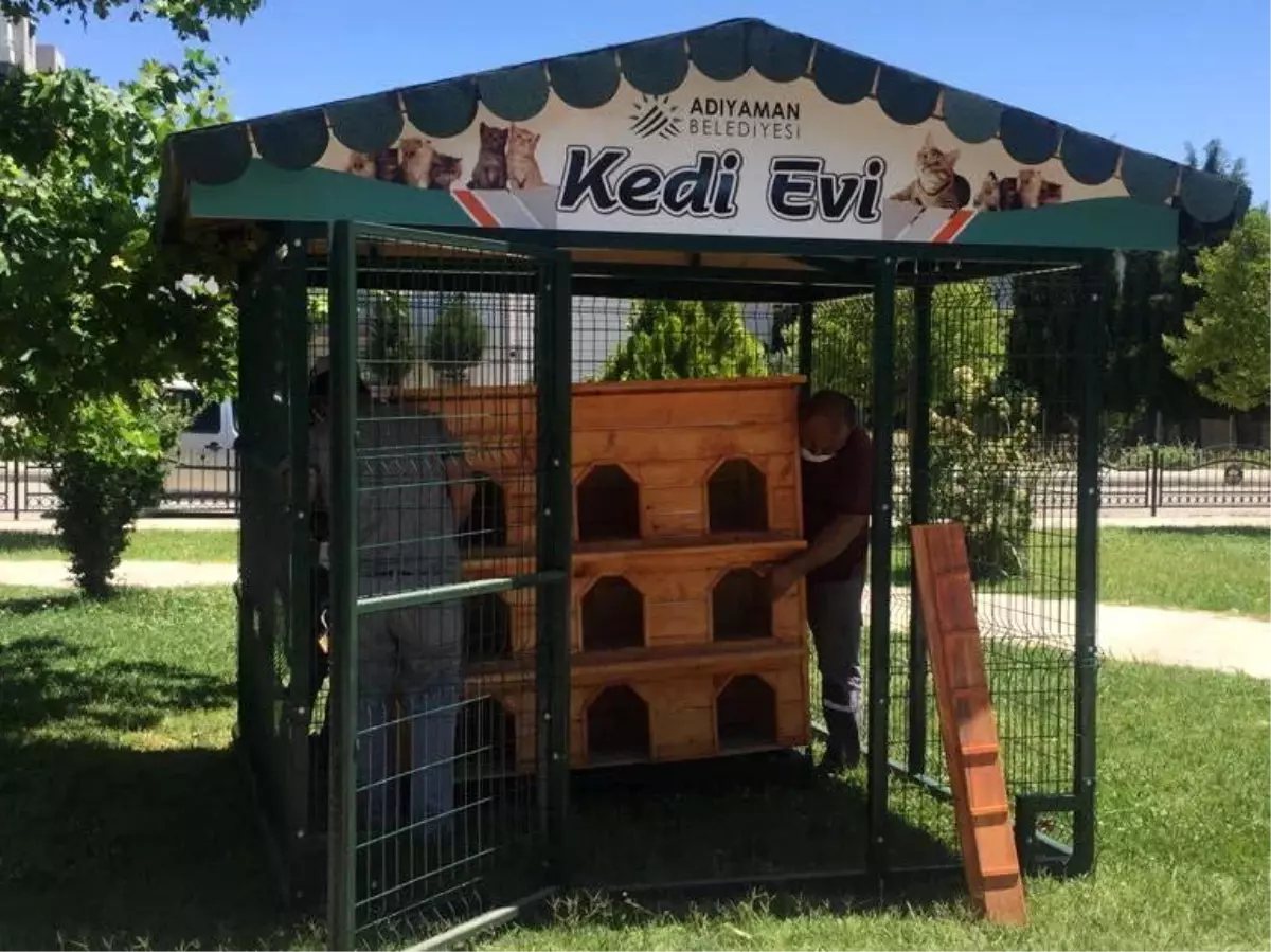 Adıyaman'da kedi evi sayısı arttırılıyor - Haberler 1 adiyaman da kedi evi sayisi arttiriliyor 14166469 amp