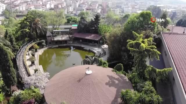 bu hayvanlari en kotu sartlarda ulkeye sokup 14165953 o