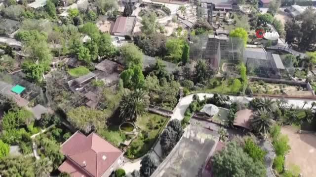 bu hayvanlari en kotu sartlarda ulkeye sokup 3 14165953 o