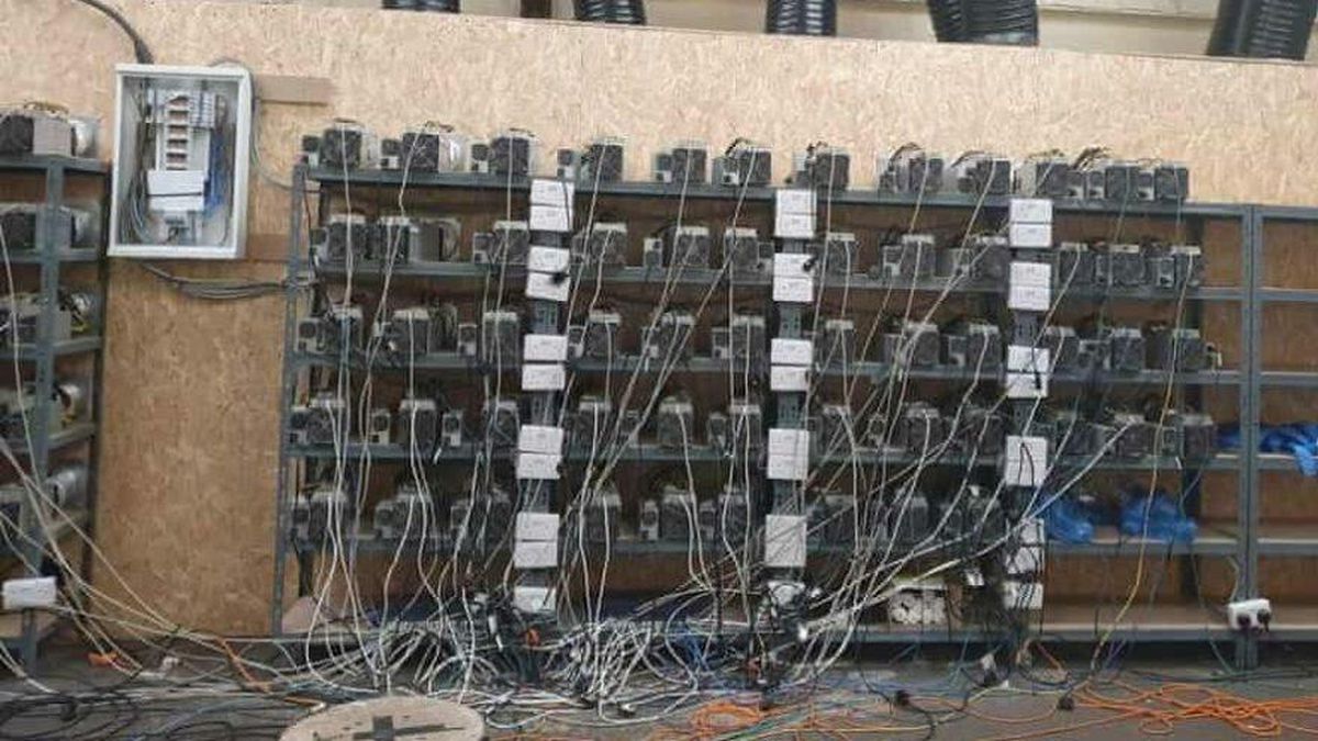 İngiltere'de kenevir baskınına giden polis ekipleri Bitcoin madeni buldu