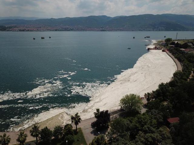 izmit korfezi yeniden deniz salyasi ile kapla 8 14166341 o